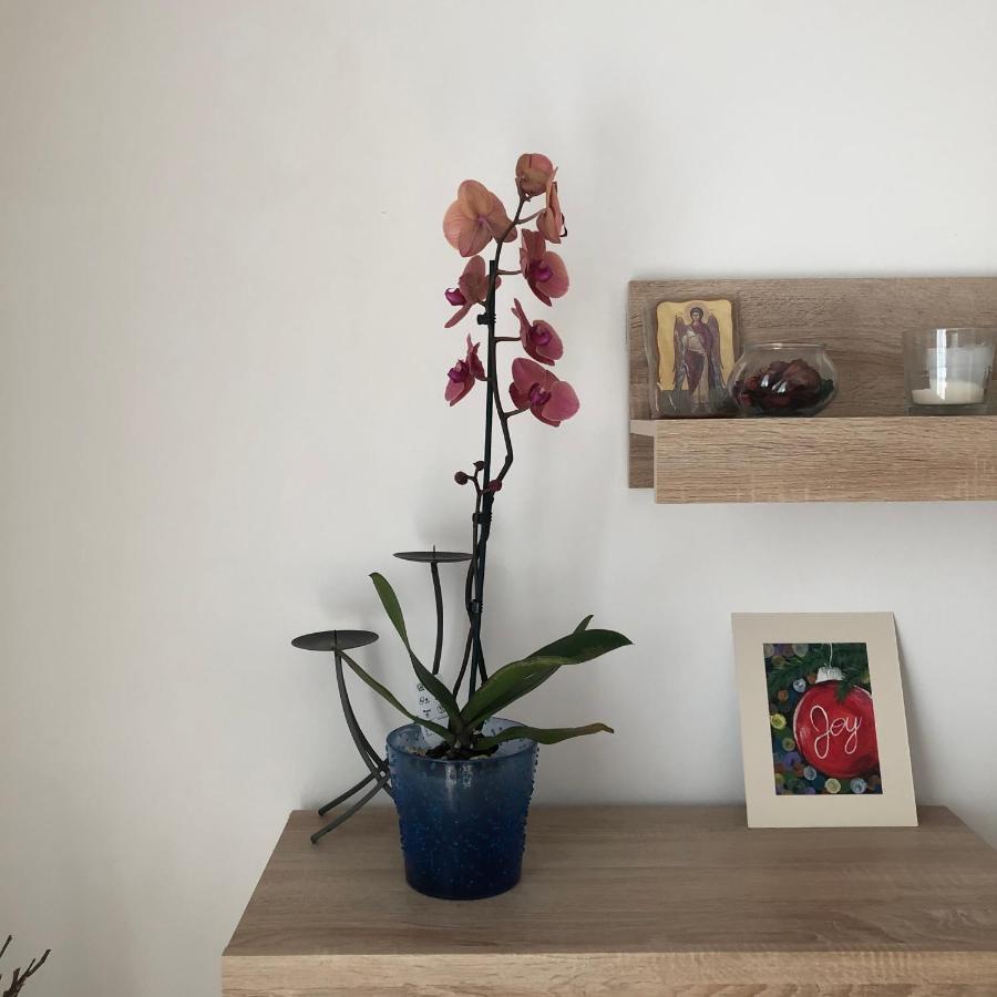 ブカレストGrig Apartamentアパートメント エクステリア 写真
